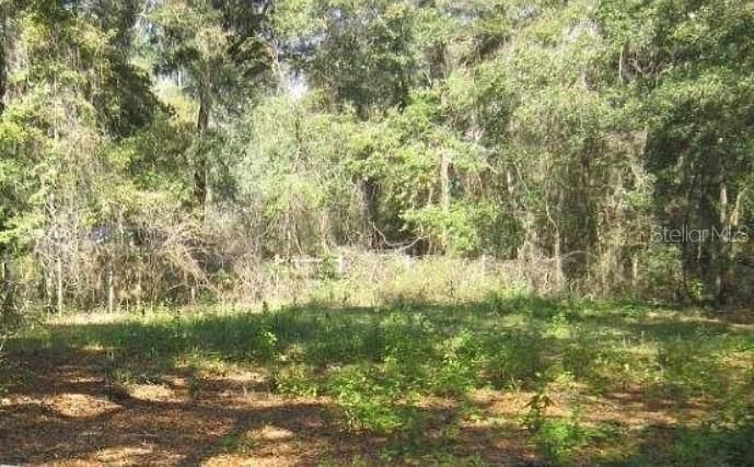 For Sale: $21,000 (0.23 acres)