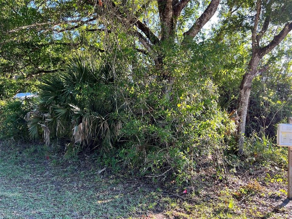 待售: $75,000 (0.17 acres)