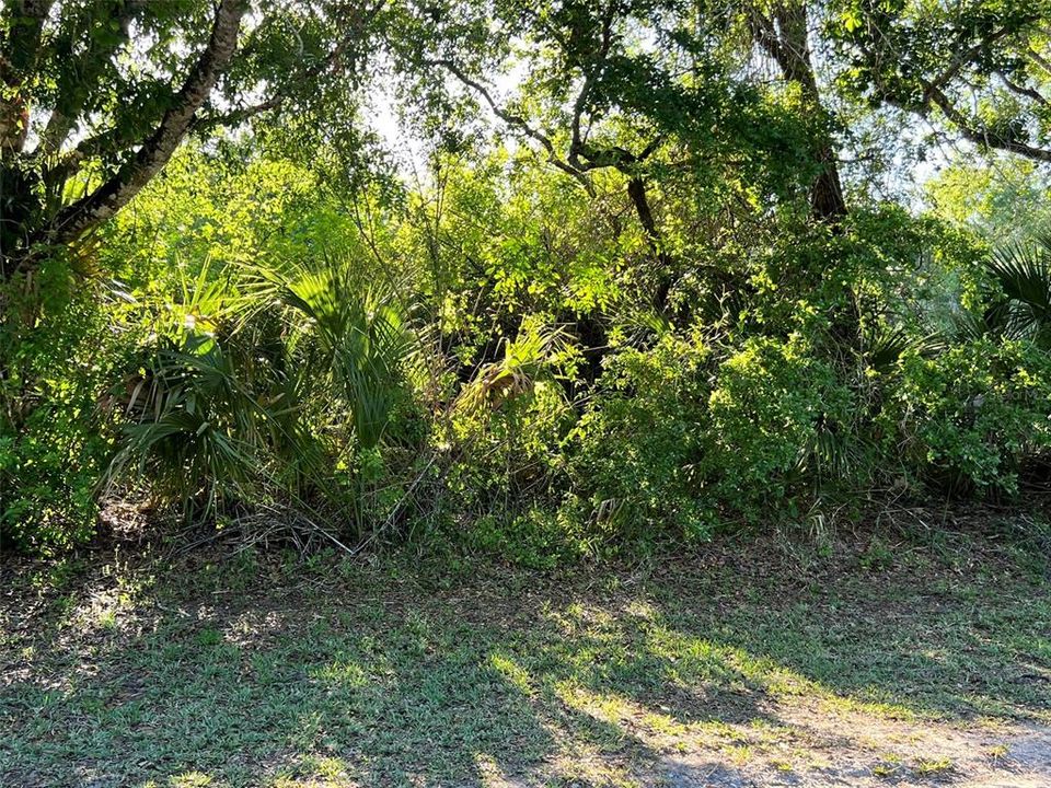 待售: $75,000 (0.17 acres)