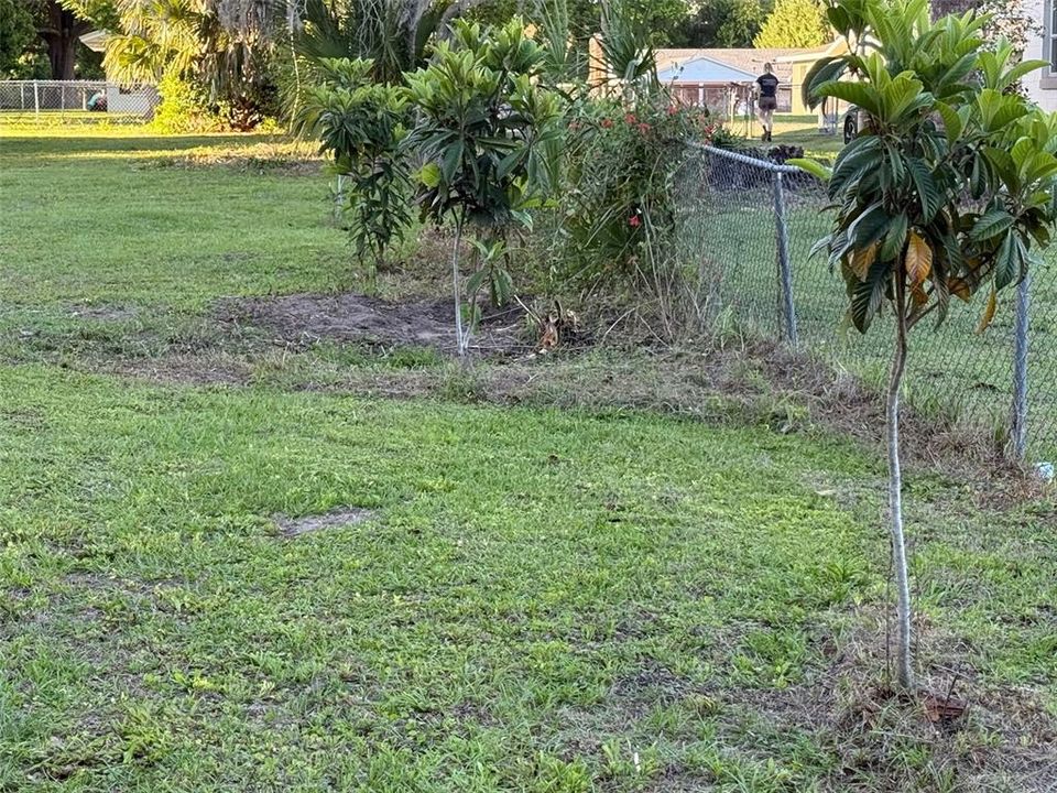 合同活跃: $98,000 (1.37 acres)