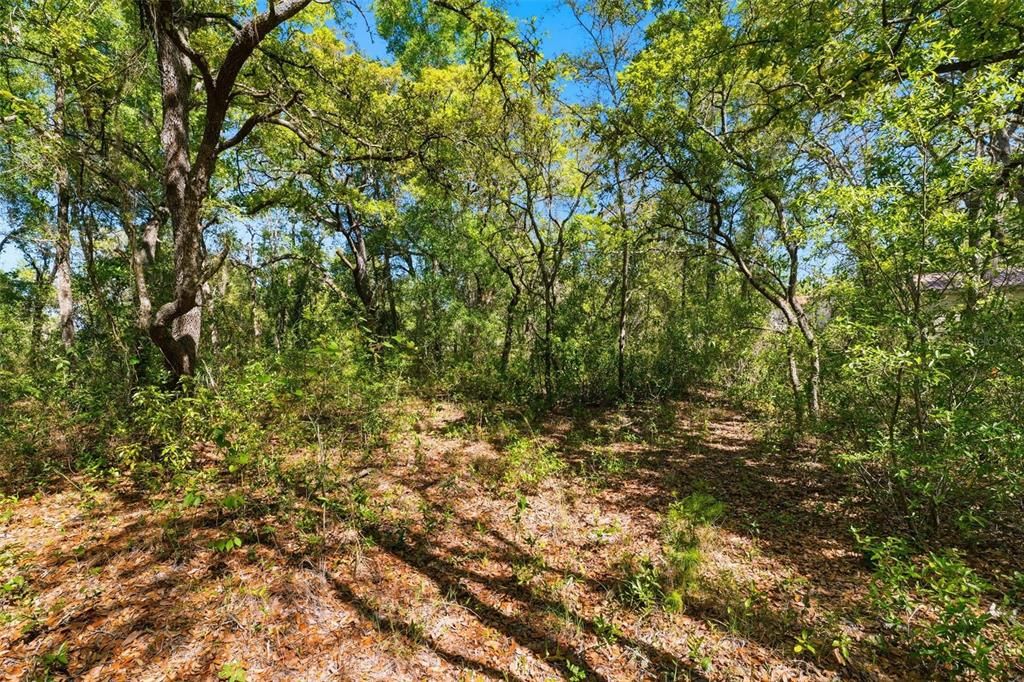 For Sale: $88,000 (1.35 acres)