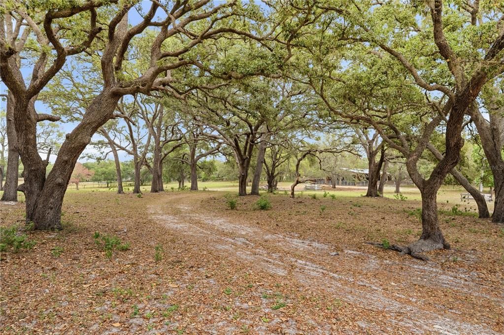 For Sale: $425,000 (4.76 acres)