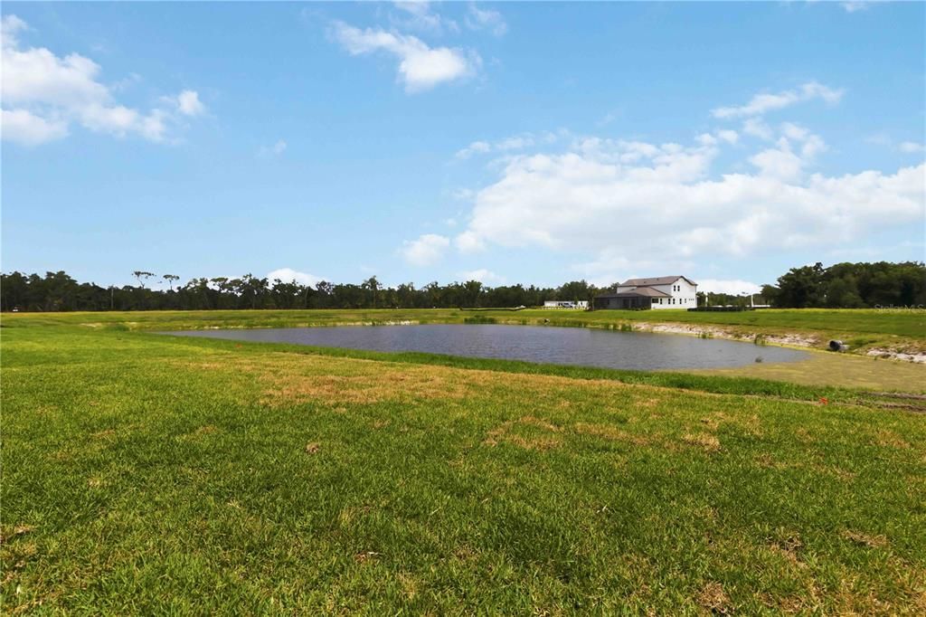 Activo con contrato: $777,999 (5 camas, 4 baños, 3800 Pies cuadrados)