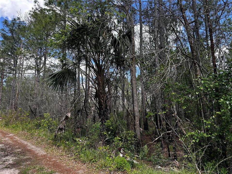 На продажу: $39,900 (1.25 acres)