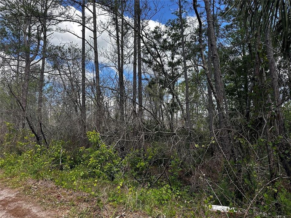 На продажу: $39,900 (1.25 acres)