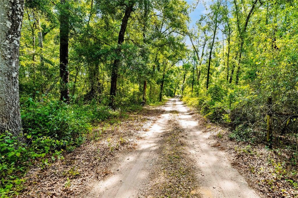 For Sale: $162,000 (4.00 acres)