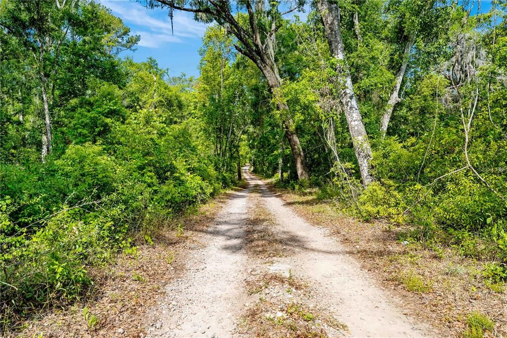 For Sale: $162,000 (4.00 acres)