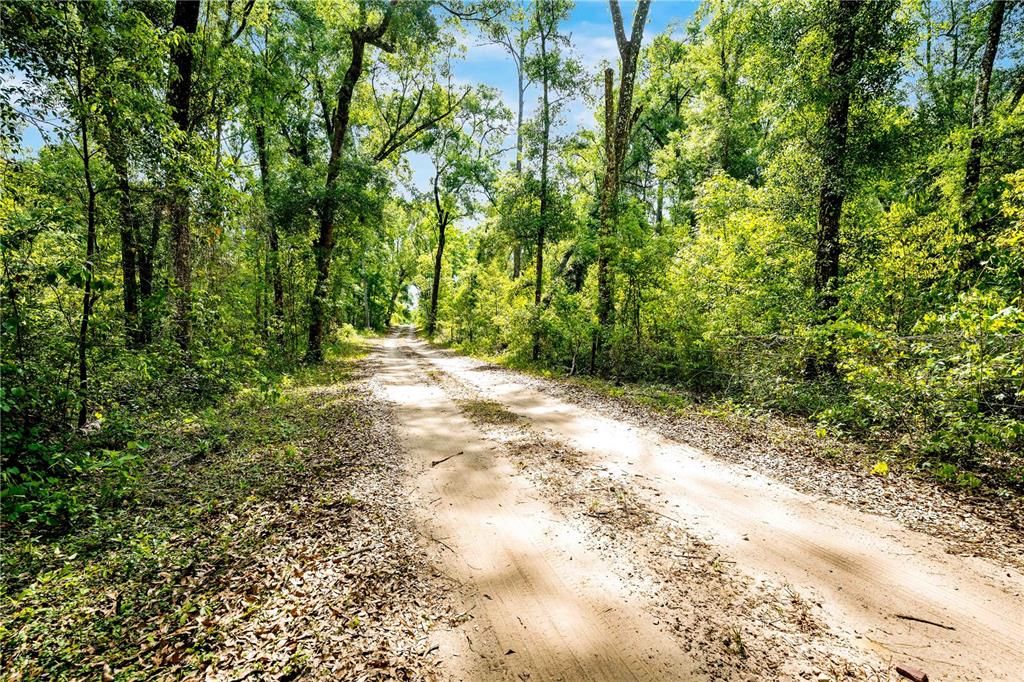For Sale: $162,000 (4.00 acres)
