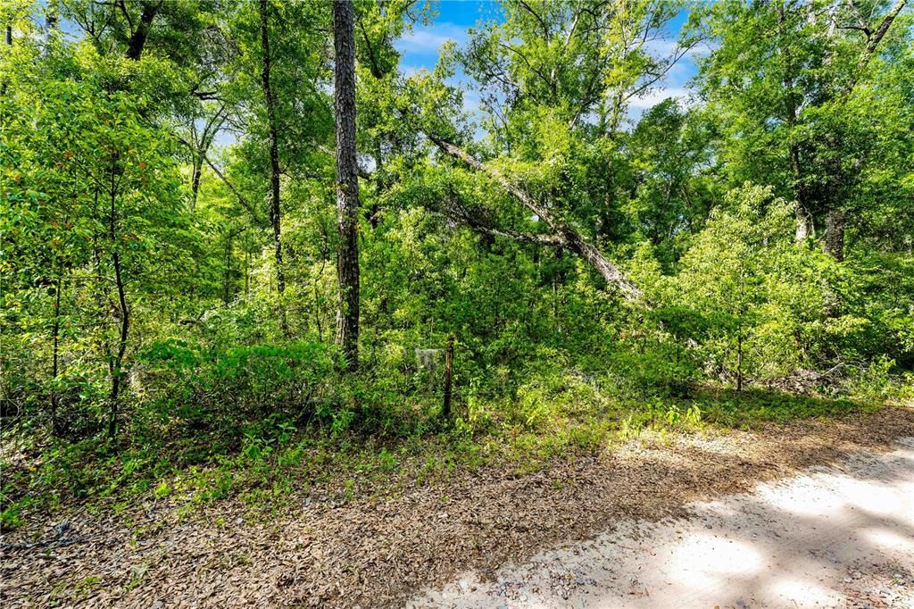 For Sale: $162,000 (4.00 acres)