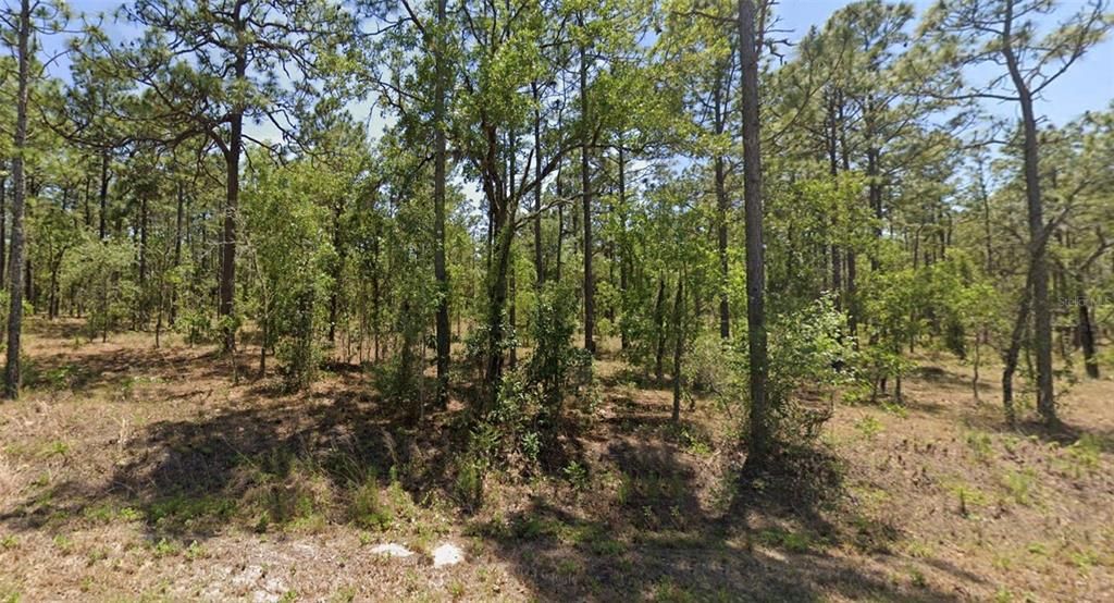 Active With Contract: $12,999 (0.24 acres)