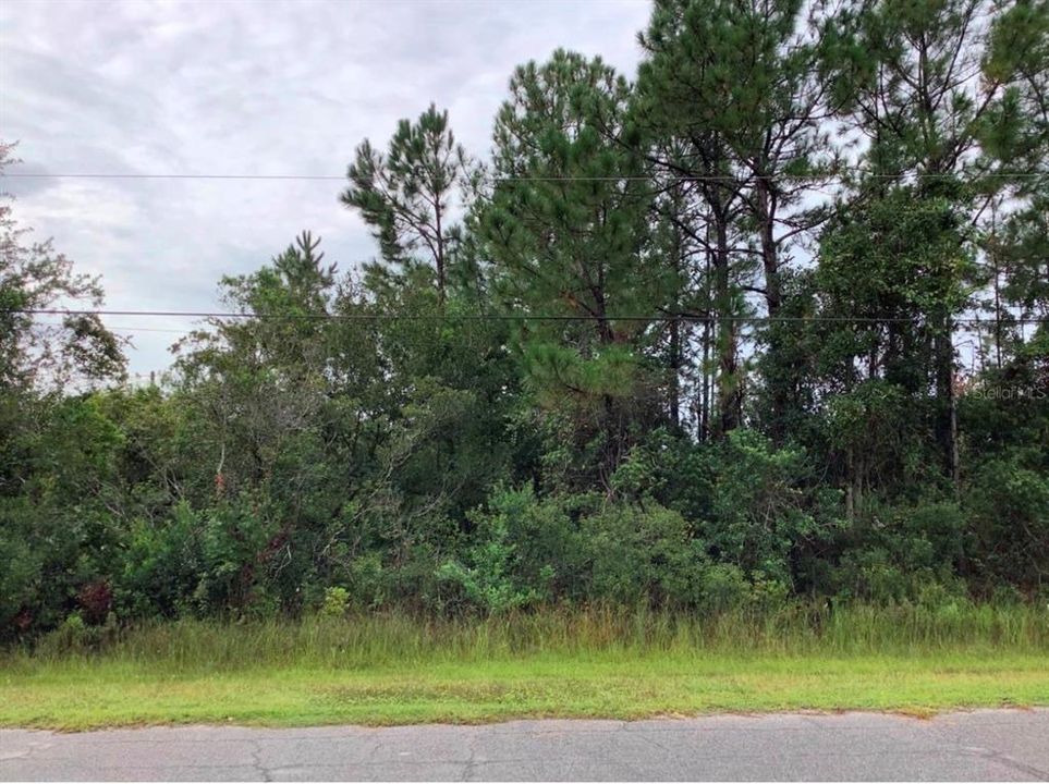 For Sale: $150,000 (1.03 acres)