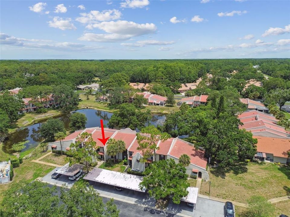 На продажу: $275,000 (2 спален, 2 ванн, 1371 Квадратных фут)