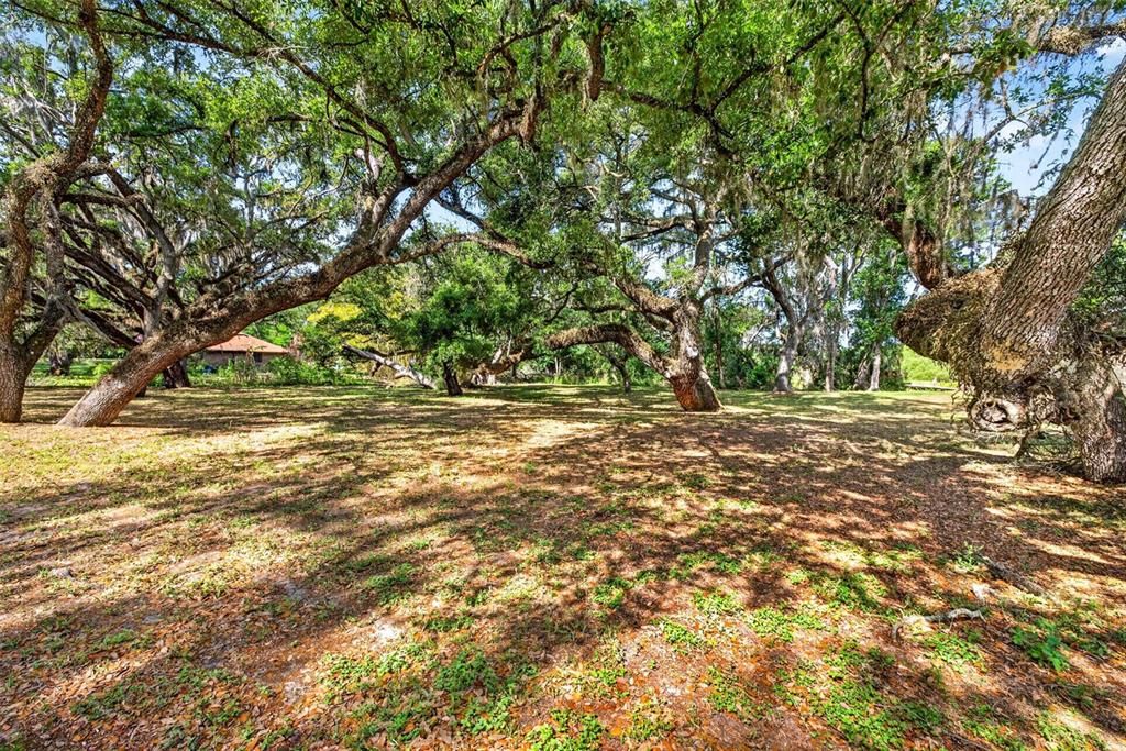 На продажу: $104,900 (0.87 acres)