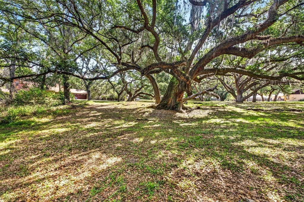 На продажу: $104,900 (0.87 acres)