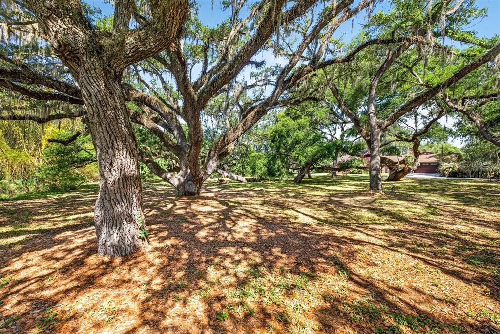 На продажу: $104,900 (0.87 acres)