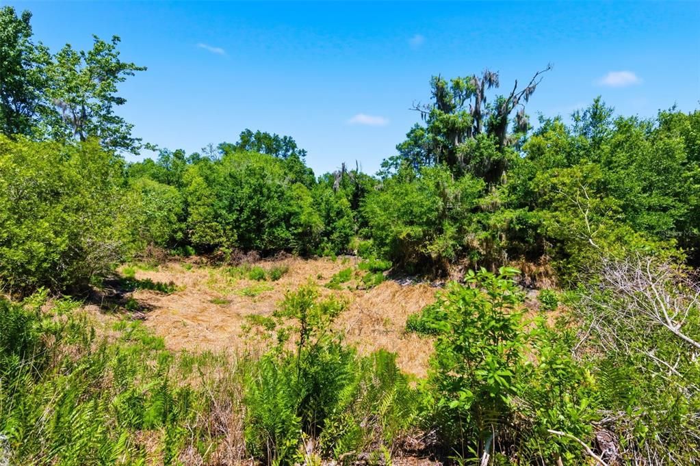 For Sale: $485,000 (4.88 acres)