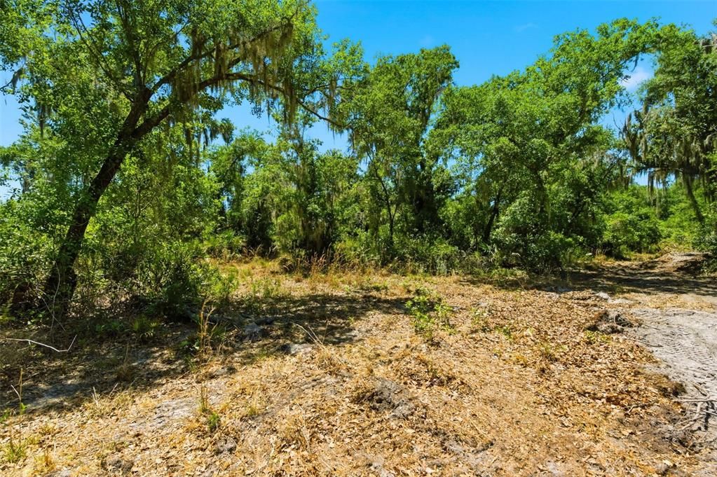 En Venta: $235,000 (1.16 acres)