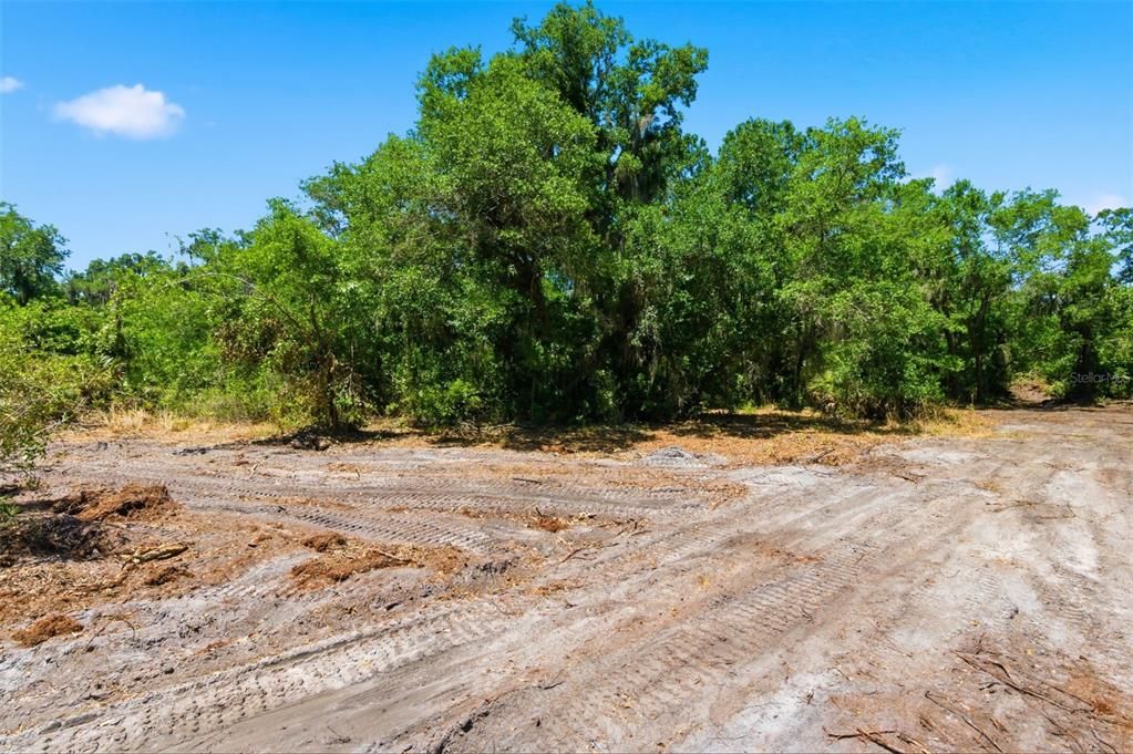 For Sale: $235,000 (1.27 acres)