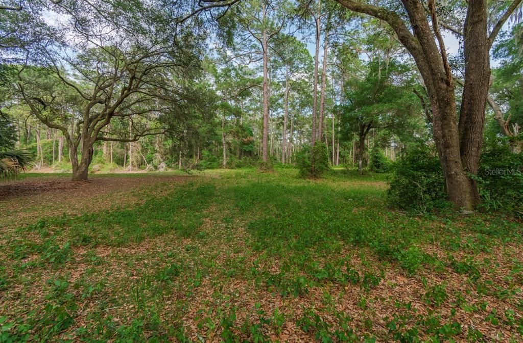 На продажу: $78,000 (1.06 acres)