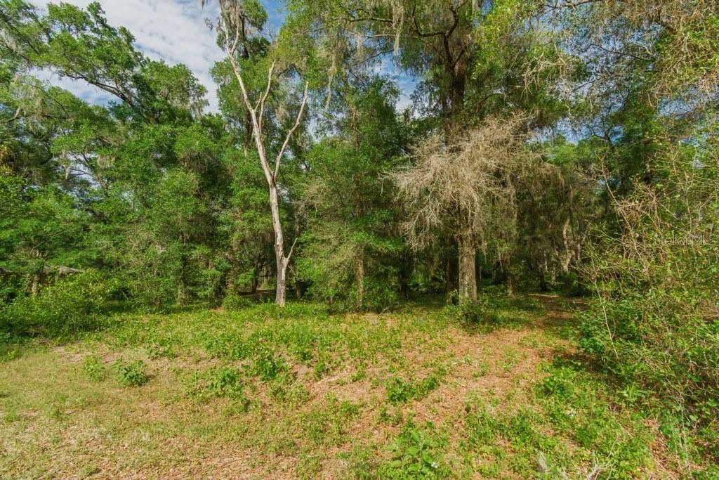 На продажу: $78,000 (1.06 acres)