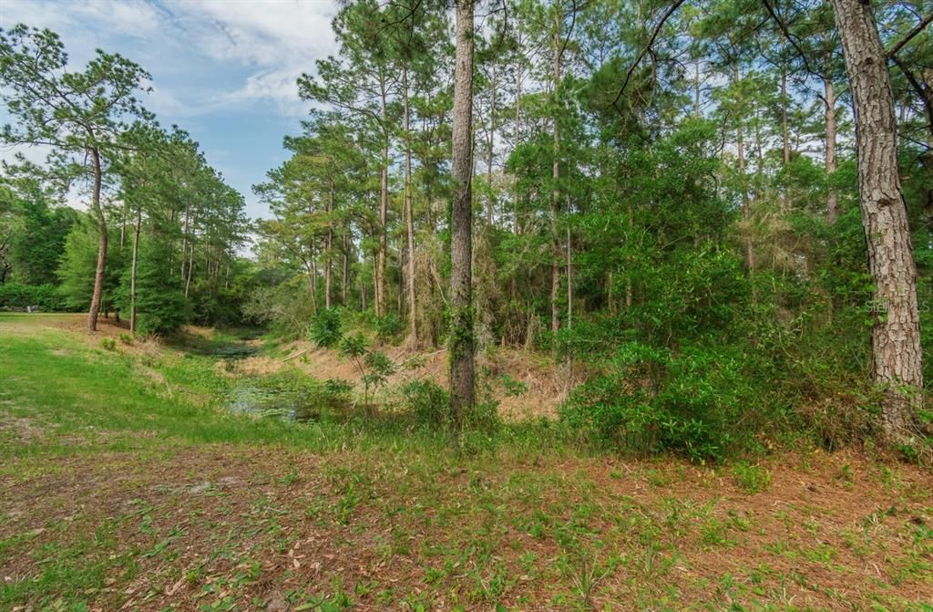 На продажу: $78,000 (1.06 acres)
