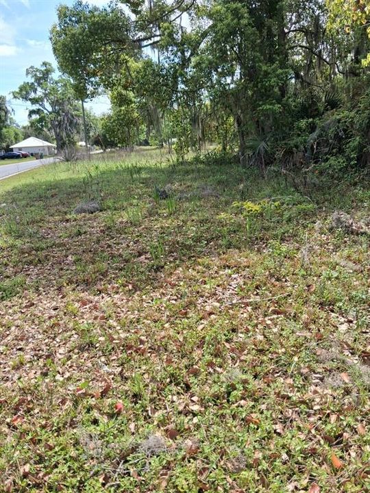 For Sale: $15,500 (0.24 acres)