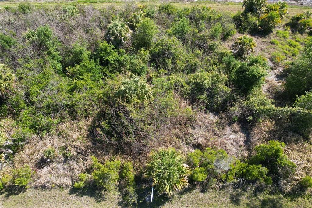 En Venta: $8,000 (0.23 acres)