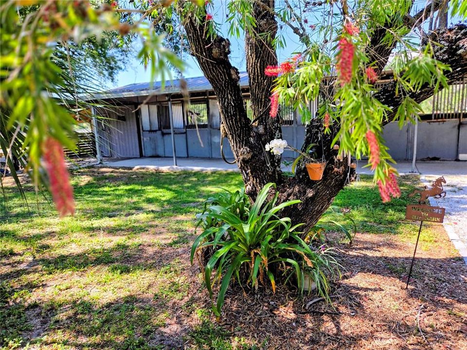 Active With Contract: $999,900 (3 beds, 2 baths, 2195 Square Feet)