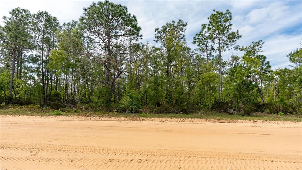 En Venta: $87,999 (5.00 acres)