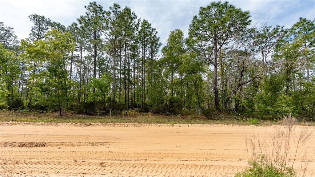 En Venta: $87,999 (5.00 acres)