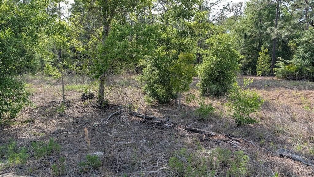 En Venta: $26,000 (0.23 acres)