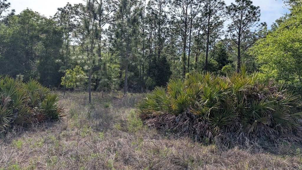 En Venta: $26,000 (0.23 acres)
