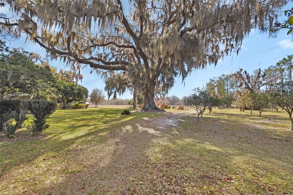 For Sale: $899,000 (2 beds, 1 baths, 1745 Square Feet)