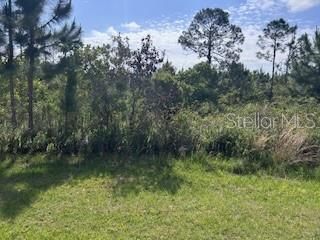 For Sale: $45,000 (0.50 acres)
