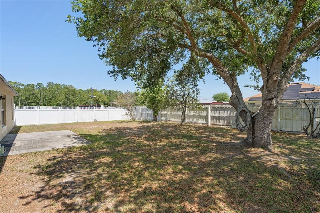 Active With Contract: $250,000 (3 beds, 2 baths, 1536 Square Feet)
