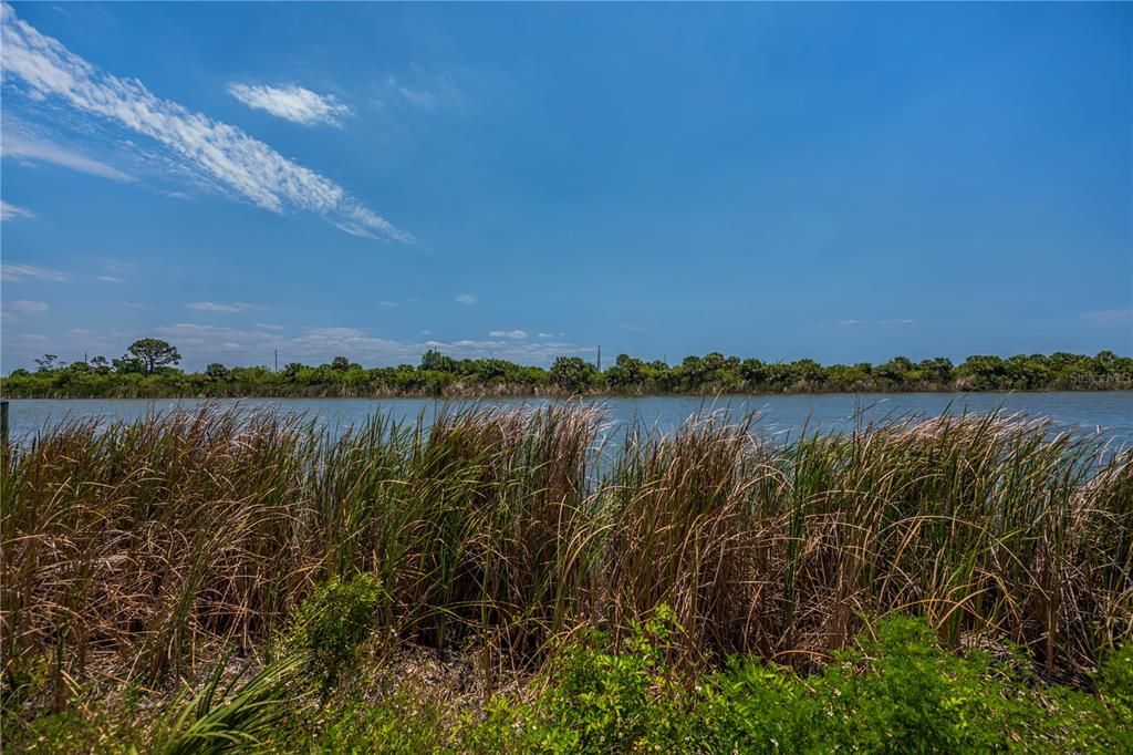 For Sale: $149,000 (0.23 acres)