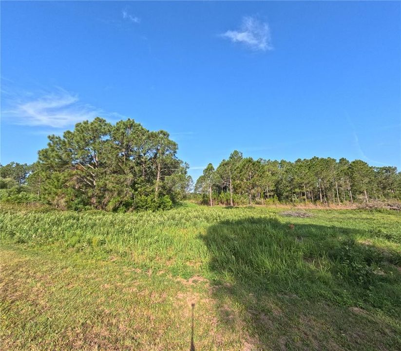 En Venta: $265,000 (6.50 acres)