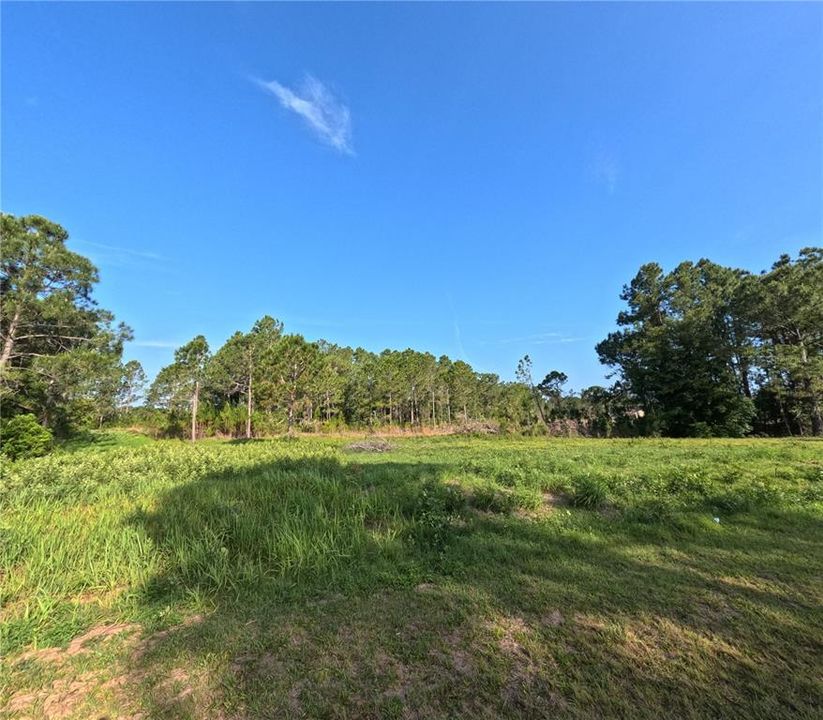 En Venta: $265,000 (6.50 acres)