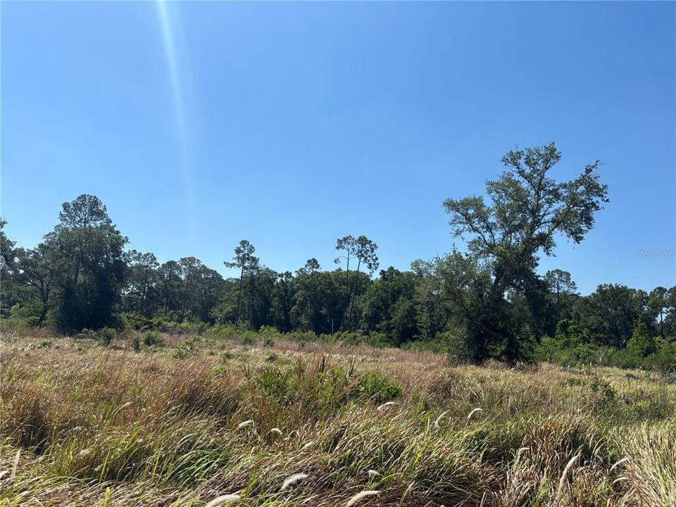 На продажу: $350,000 (0.13 acres)