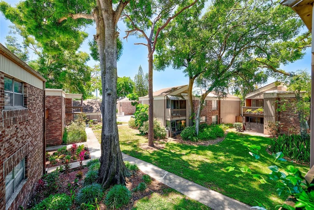 For Sale: $89,000 (1 beds, 1 baths, 543 Square Feet)