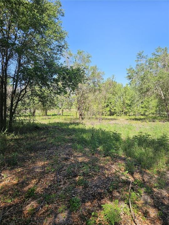 For Sale: $315,000 (10.00 acres)