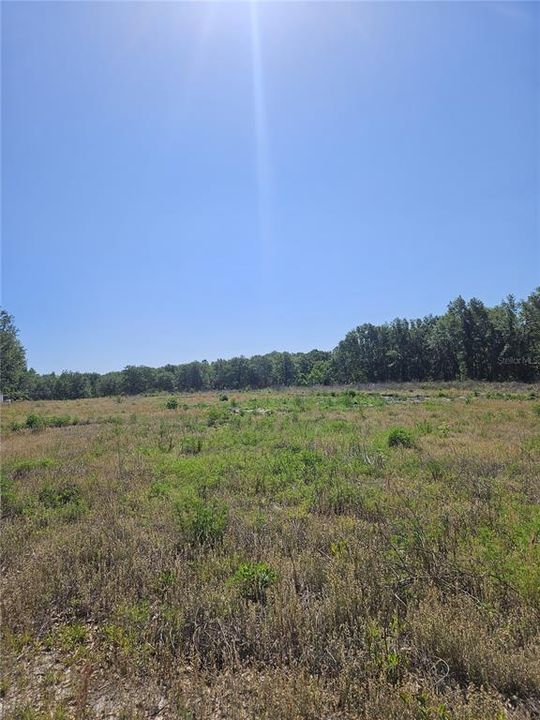 For Sale: $315,000 (10.00 acres)