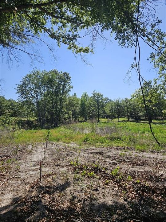 For Sale: $315,000 (10.00 acres)