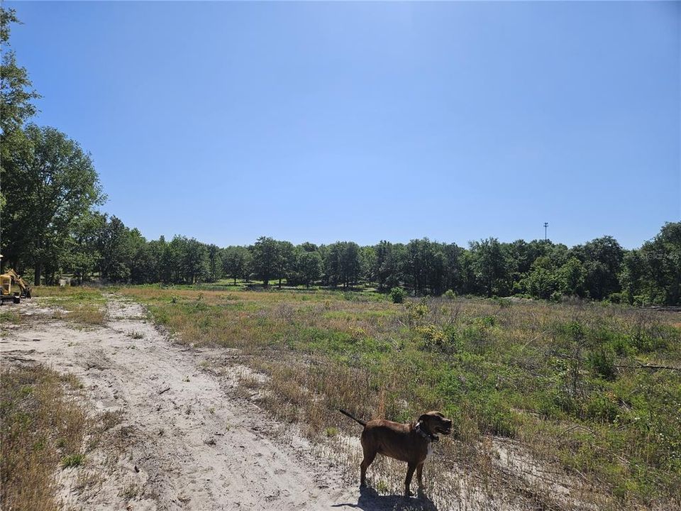 For Sale: $315,000 (10.00 acres)