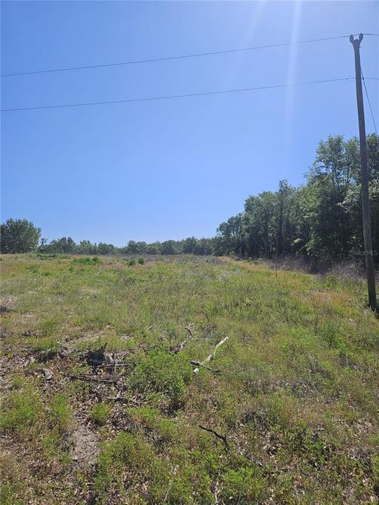 For Sale: $315,000 (10.00 acres)