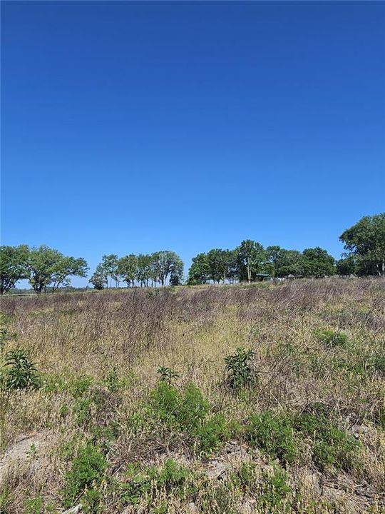 For Sale: $315,000 (10.00 acres)
