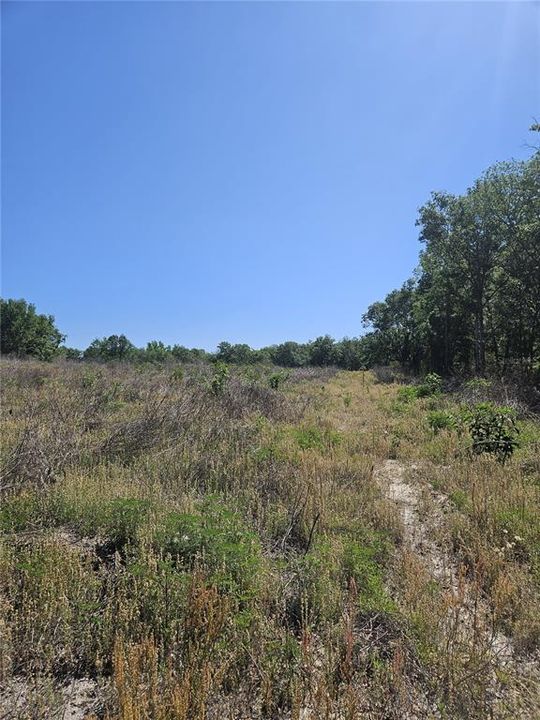 For Sale: $315,000 (10.00 acres)