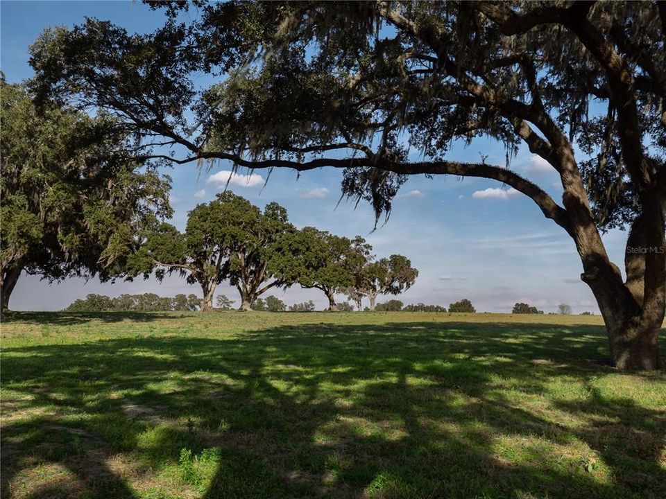 For Sale: $4,995,000 (141.10 acres)
