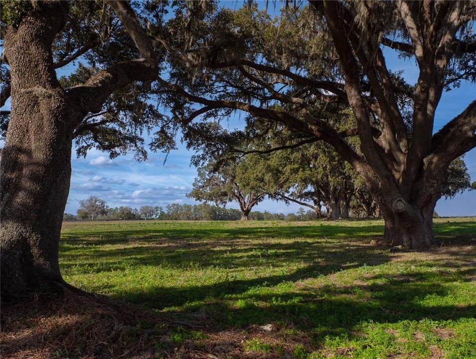 For Sale: $4,995,000 (141.10 acres)