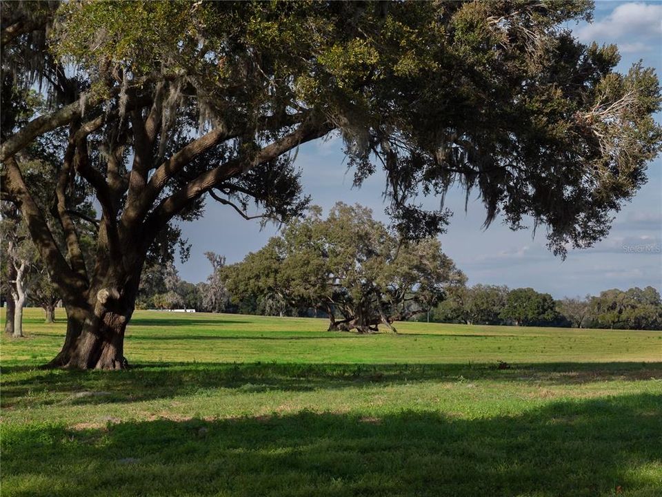 For Sale: $4,995,000 (141.10 acres)